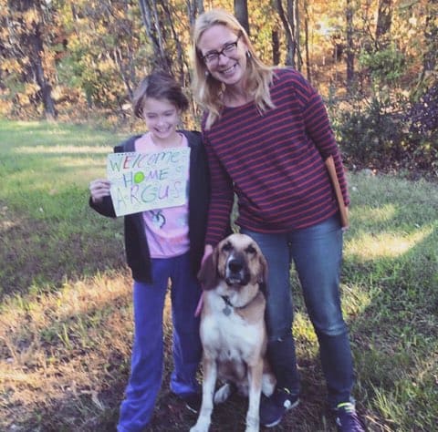 rescue road trips adopted dog homer