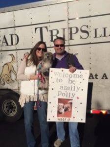 rescue road trips adopted dog polly