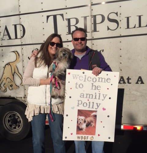 rescue road trips adopted dog polly