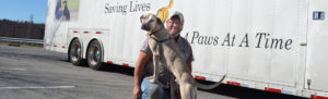 rescue-road-trips-dog-transport-services_lower